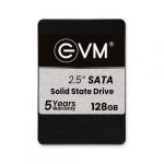 EVM 128GB 2.5" SATA SSD EVM25/128GB