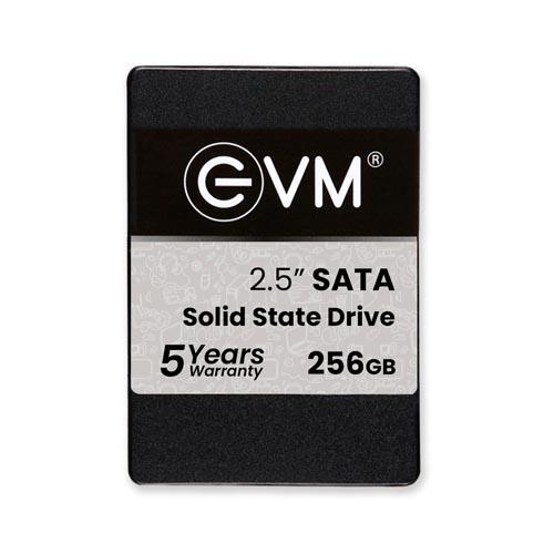 EVM 256GB 2.5" SATA SSD EVM25/256GB