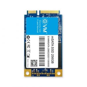 EVM 256GB mSATA SSD EVMMS/256GB