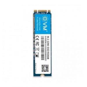 EVM 512GB M.2 SATA SSD EVMM2/512GB