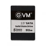 EVM 512GB 2.5" SATA SSD EVM25/512GB